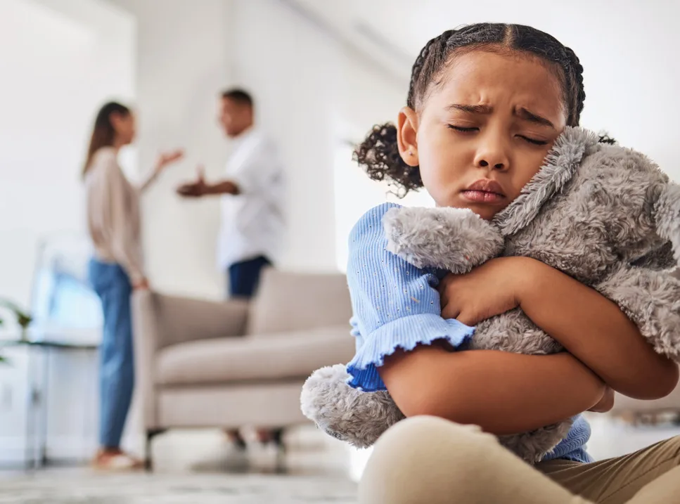 domestic-issues-royalpalm-investigations