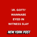 A red background with white text that says " jr. Gotti wannabe eyed in witness slay."